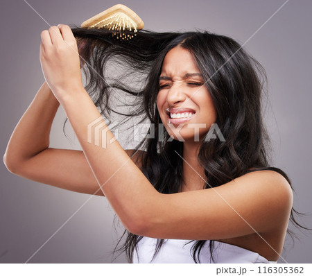 Brush, frustrated and woman with tangled hair for grooming mistake, problem and scalp pain in studio. Stress, model girl and beauty tool with hairstyle knot and fear for alopecia by grey background 116305362