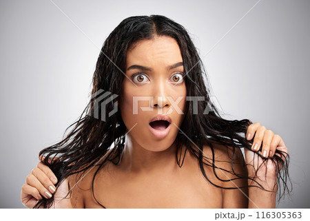 Woman, portrait and surprise for wet haircare in studio, cosmetics and frizz on gray background. Female person, textures and shock for damaged or tangle for hair loss, unhealthy and stress for crisis 116305363