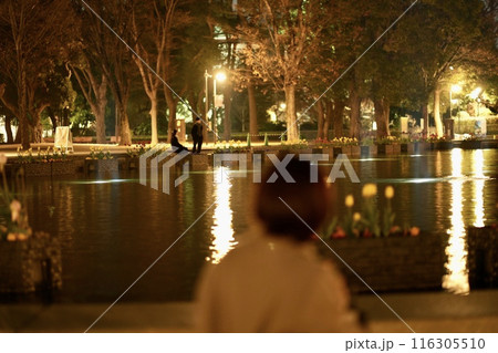 閑散とした夜の公園と池に反射する街灯の光 116305510