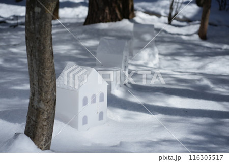 冬の軽井沢の雪の中の小さな家 冬の軽井沢の雪の中の小さな家 116305517