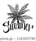 Summer typography t-shirt design, Hand drawn lettering phrase, Greeting cards, templates, mugs 116305740