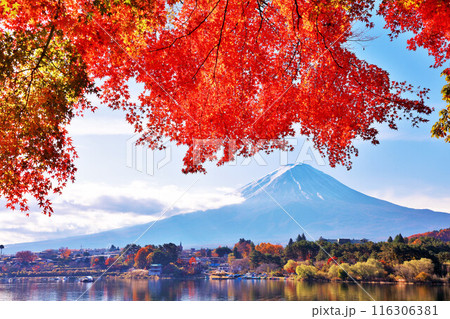 秋の紅葉と富士山 116306381