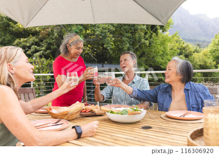 Diverse senior female friends toasting glasses outdoors Diverse senior female friends toasting glasses outdoors 116306920