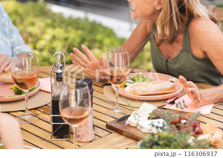 Diverse senior female friends enjoying outdoor meal together 116306937