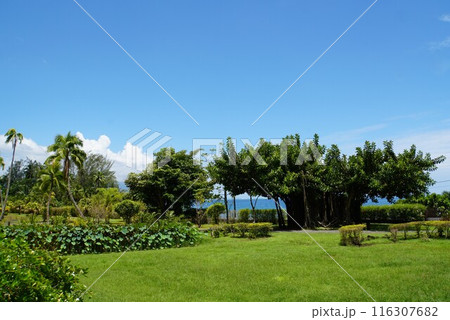 ウォーターガーデン バイパヒ、タヒチ島 ウォーターガーデン バイパヒ、タヒチ島 116307682