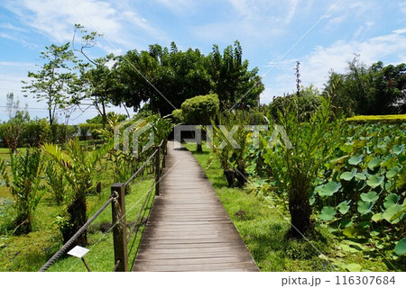 ウォーターガーデン バイパヒ、タヒチ島 ウォーターガーデン バイパヒ、タヒチ島 116307684