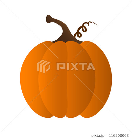A pumpkin orange color isolated vector illustration flat design  116308068