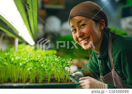 Smiling Asian woman grows young plants in a greenhouse 116308099