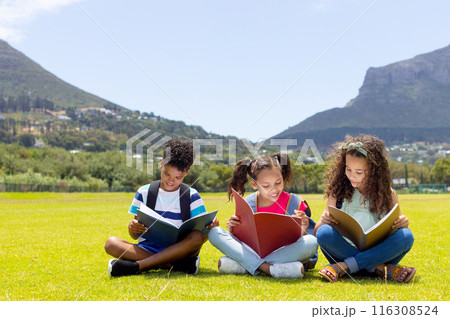 Biracial children read books in sunny field, copy space 116308524