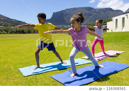 Biracial children practice yoga outdoors on a sunny day Biracial children practice yoga outdoors on a sunny day 116308561