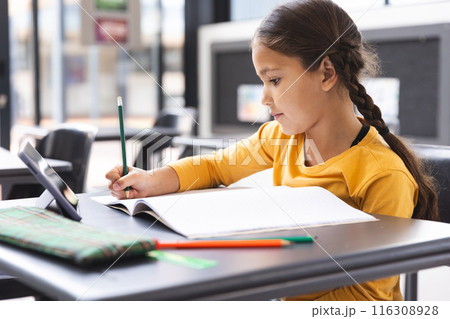 In school, young biracial girl with a braid focusing on her homework in the classroom 116308928