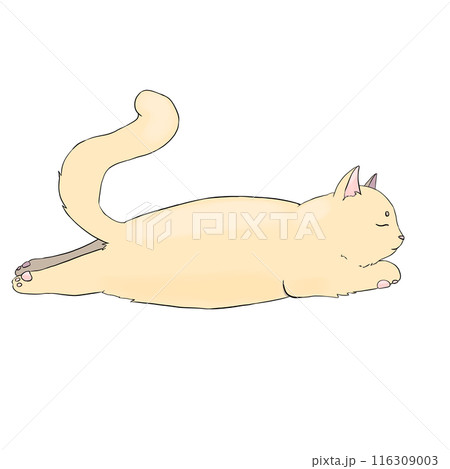 Beige cat sleeps on its belly, simple illustration Beige cat sleeps on its belly, simple illustration 116309003
