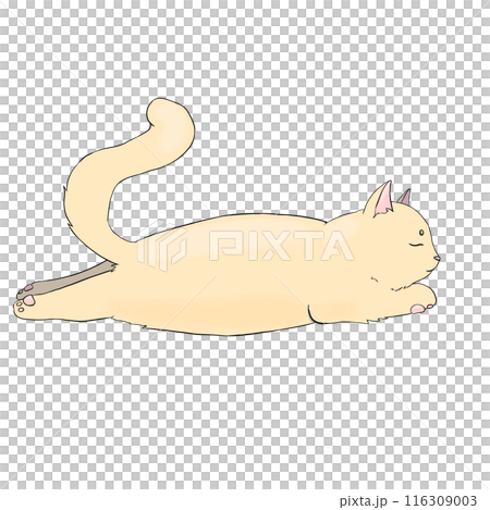 Beige cat sleeps on its belly, simple illustration Beige cat sleeps on its belly, simple illustration 116309003