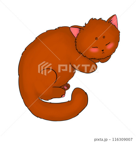 Ginger sleeping cartoon cat in anime style illustration 116309007