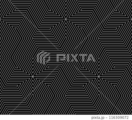 Abstract geometric pattern with stripes, lines. Seamless vector background. White and black ornament. Simple lattice graphic design. 116309072
