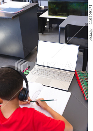 Biracial boy studies in a school classroom using a laptop, with copy space 116309171