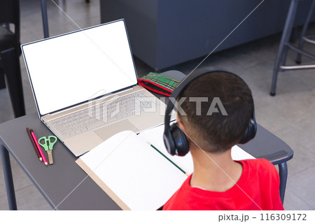 Biracial boy studies at a school desk using a laptop, with copy space 116309172