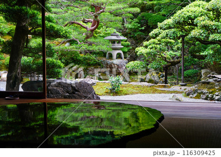 座敷越しの日本庭園の風景 116309425