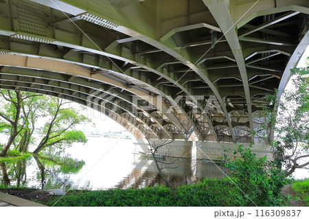 手賀沼の手賀大橋（千葉県） 116309837