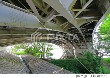 手賀沼の手賀大橋（千葉県） 116309838