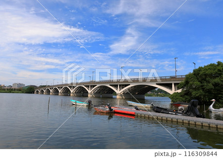 手賀沼の手賀大橋（千葉県） 116309844