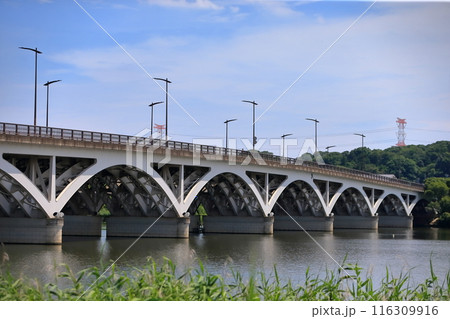 手賀沼の手賀大橋(千葉県) 手賀沼の手賀大橋(千葉県) 116309916