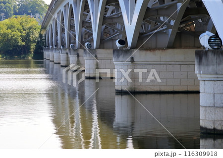 手賀沼の手賀大橋（千葉県） 116309918