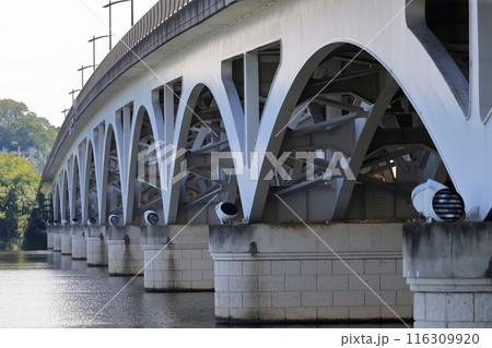 手賀沼の手賀大橋（千葉県） 116309920