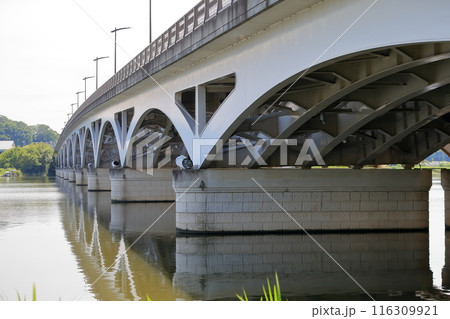 手賀沼の手賀大橋(千葉県) 手賀沼の手賀大橋(千葉県) 116309921