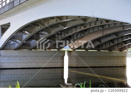 手賀沼の手賀大橋（千葉県） 116309922