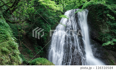 峨瓏の滝（峨瓏大滝） 116310584