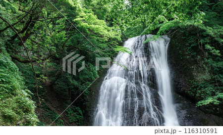 峨瓏の滝(峨瓏大滝) 峨瓏の滝(峨瓏大滝) 116310591