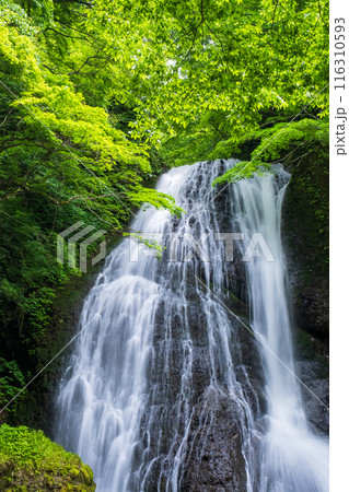 峨瓏の滝（峨瓏大滝） 116310593