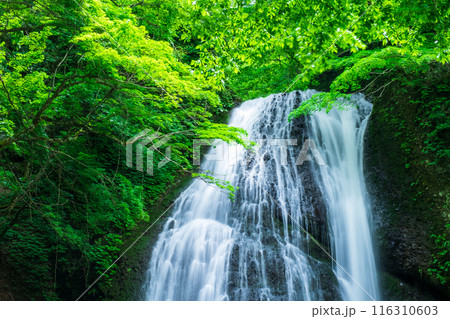 峨瓏の滝（峨瓏大滝） 116310603