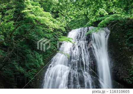 峨瓏の滝(峨瓏大滝) 峨瓏の滝(峨瓏大滝) 116310605