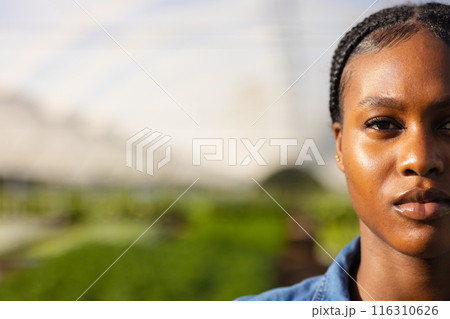 African American woman working at hydroponic farm, focusing on plants, copy space 116310626