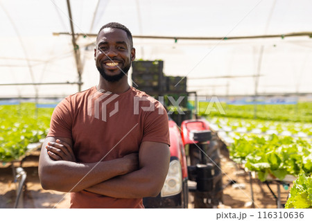 Smiling farmer standing with arms crossed in hydroponic vegetable greenhouse Smiling farmer standing with arms crossed in hydroponic vegetable greenhouse 116310636