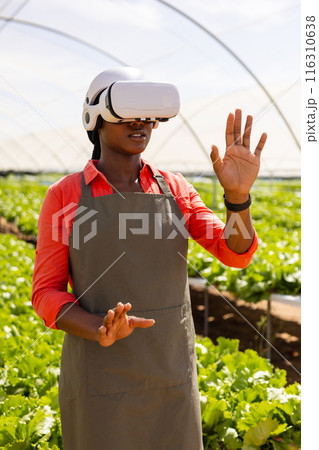 Farmer wearing VR headset interacting with virtual environment in hydroponic farm 116310638