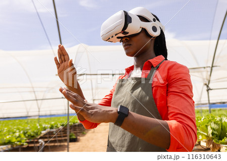 Using VR headset, farmer in apron managing hydroponic farm in greenhouse 116310643