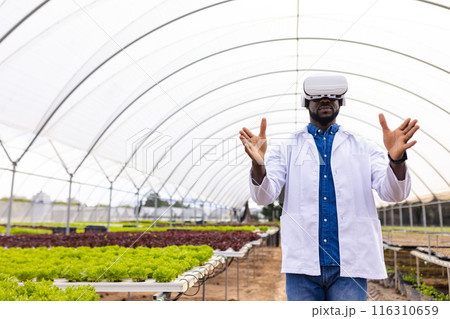 Farmer using VR headset for managing hydroponic vegetable garden in greenhouse, copy space 116310659