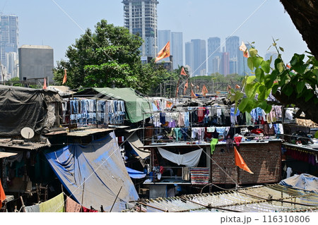 Dhobi Ghat, is an open air laundry place in near by Mahalaxmi railway station in Mumbai, India 116310806