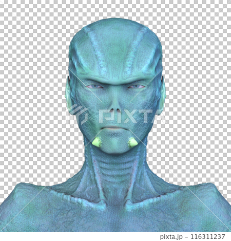 female alien face 116311237