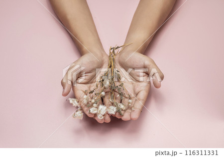 Person holding withered flowers on pink background 116311331