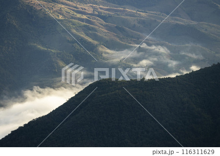 Landscape of Morning Mist with Mountain Layer at north of Thailand. mountain ridge and clouds in rural jungle bush fores Landscape of Morning Mist with Mountain Layer at north of Thailand. mountain ridge and clouds in rural jungle bush fores 116311629