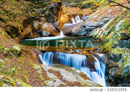 山梨　紅葉の西沢渓谷　三重の滝 116311858