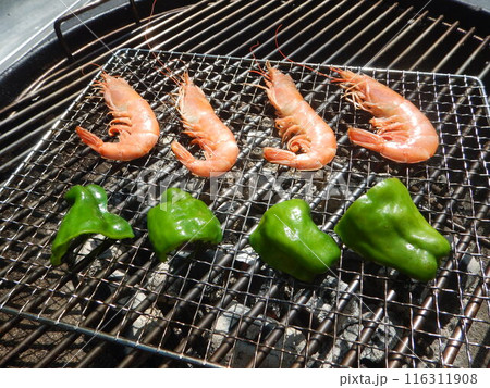 バーべキュー バーべキュー 116311908