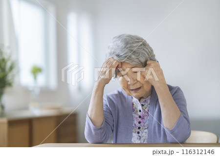 頭を抱える80代の女性 頭を抱える80代の女性 116312146