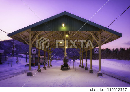 幻想的な駅舎 116312557