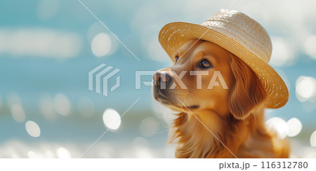 ビーチにいる麦わら帽子を被ったゴールデンレトリバー　AI生成画像 116312780