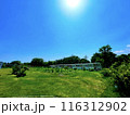 太陽の光が差し込む長閑な公園と電車の風景 116312902